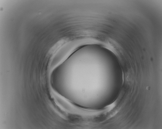 X0000062910436200601201940