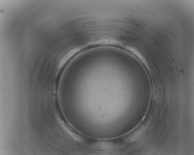 X0000062910437200601201940