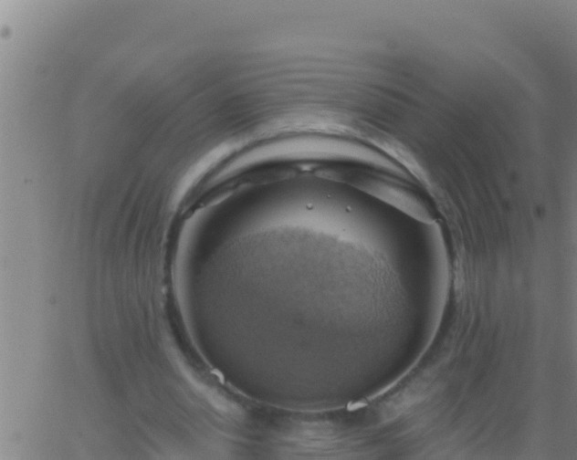 X0000062910438200601201940