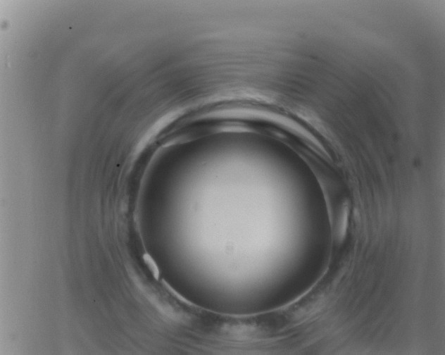 X0000062910440200601201940