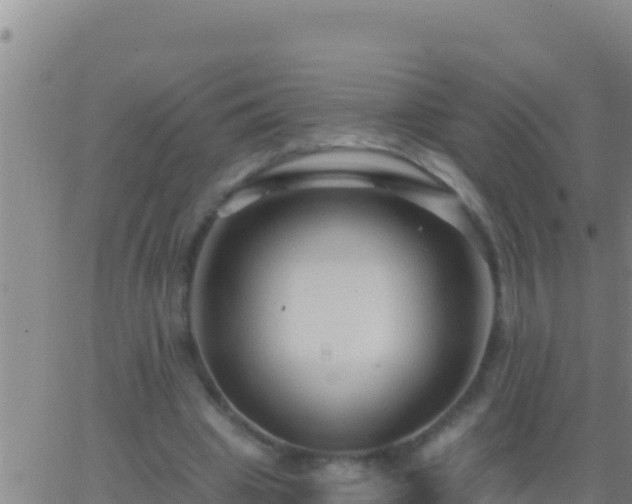 X0000062910441200601201940