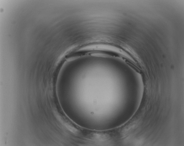 X0000062910442200601201940