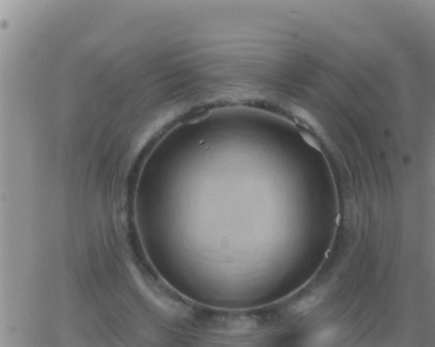 X0000062910443200601201940