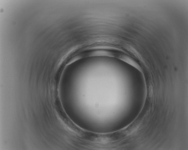 X0000062910444200601201940