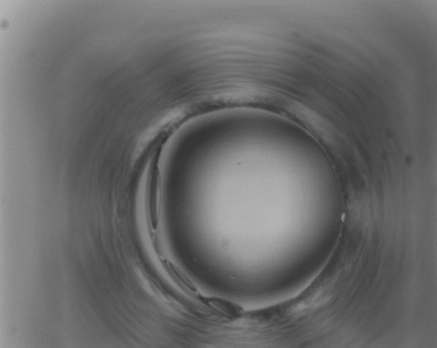 X0000062910446200601201940