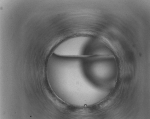 X0000062910447200601201940