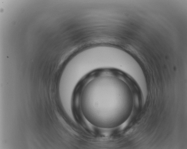 X0000062910448200601201940