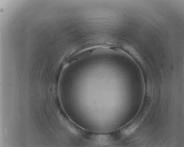 X0000062910449200601201940