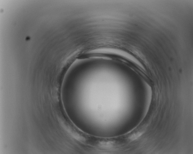 X0000062910450200601201940