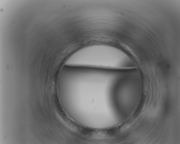 X0000062910451200601201940