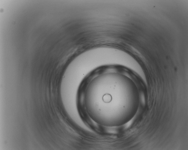 X0000062910452200601201940