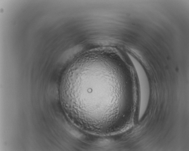 X0000062910453200601201940