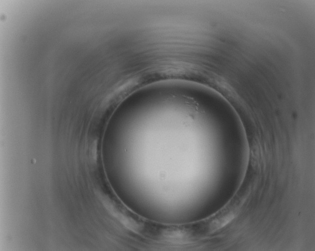 X0000062910454200601201940