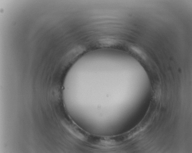 X0000062910455200601201940