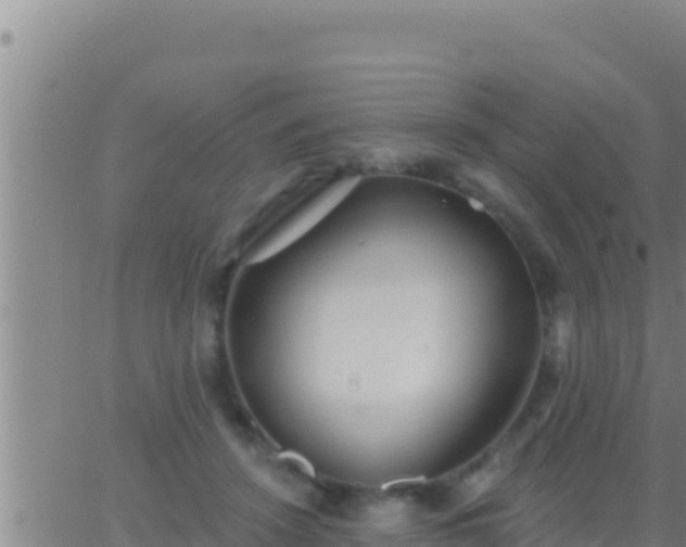 X0000062910456200601201940