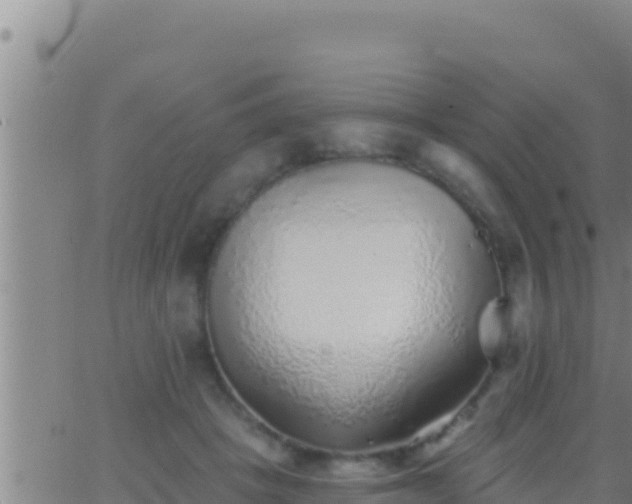 X0000062910457200601201940