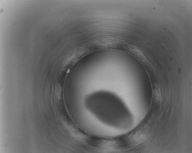 X0000062910458200601201940