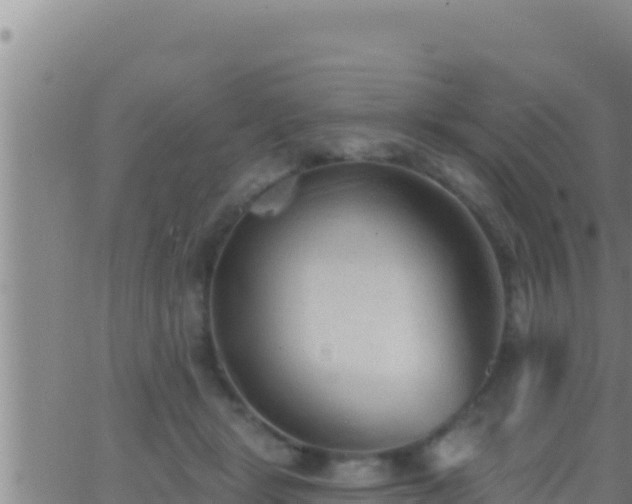 X0000062910461200601201940