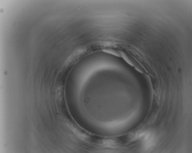 X0000062910462200601201941