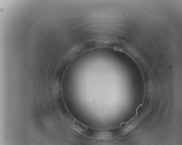 X0000062910463200601201941