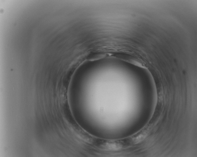 X0000062910464200601201941