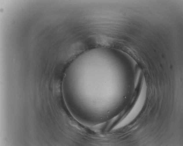 X0000062910466200601201941