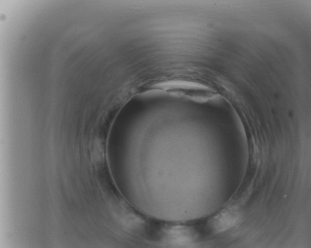 X0000062910467200601201941