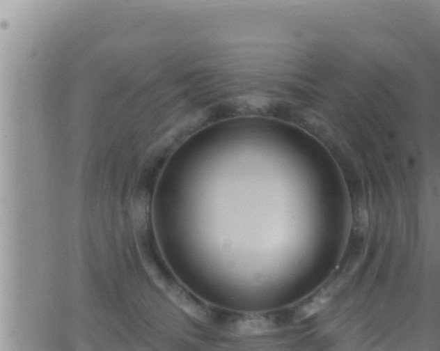 X0000062910468200601201941