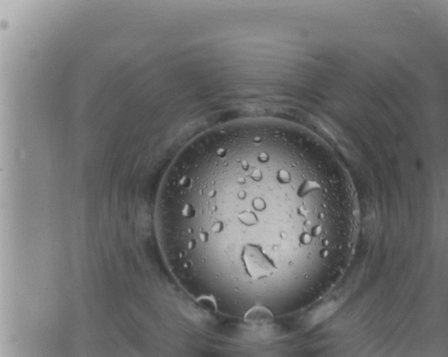 X0000062910469200601201941