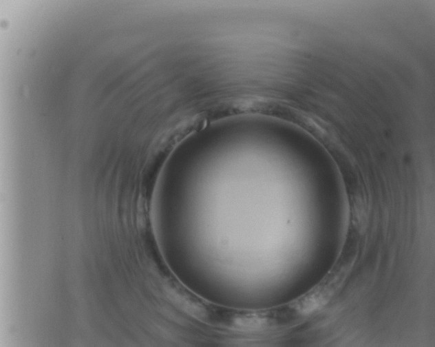 X0000062910470200601201941