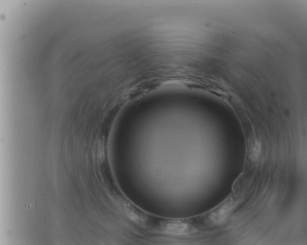 X0000062910471200601201941