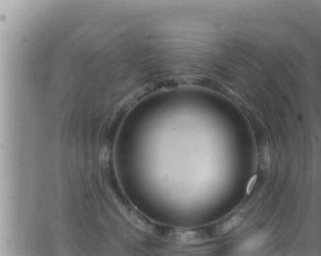 X0000062910472200601201941