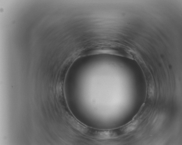 X0000062910473200601201941