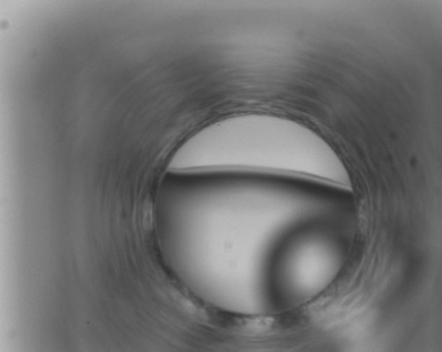 X0000062910474200601201941