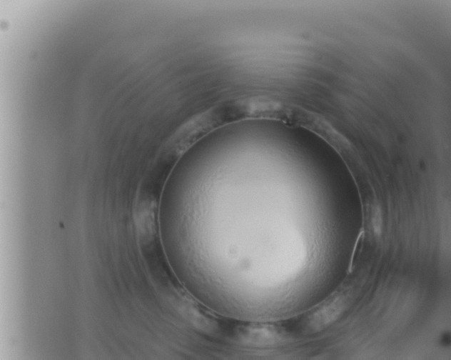 X0000062910475200601201941