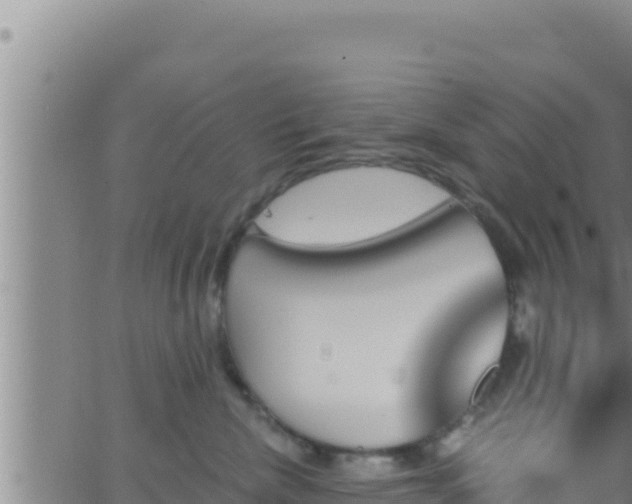 X0000062910476200601201941