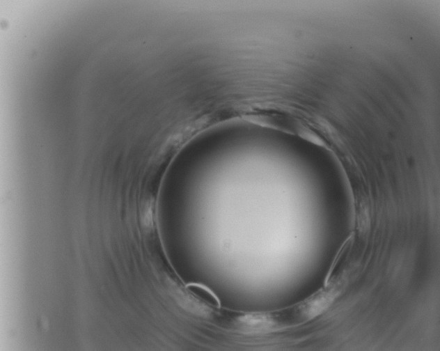 X0000062910477200601201941