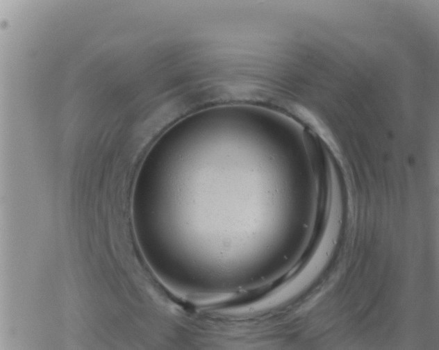 X0000062910481200601201940