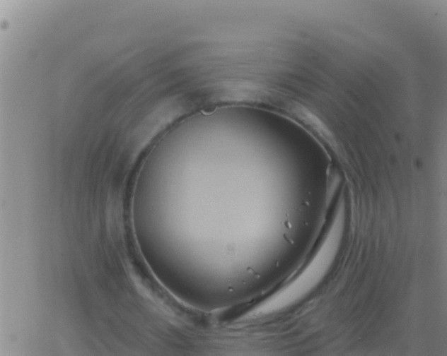 X0000062910482200601201940