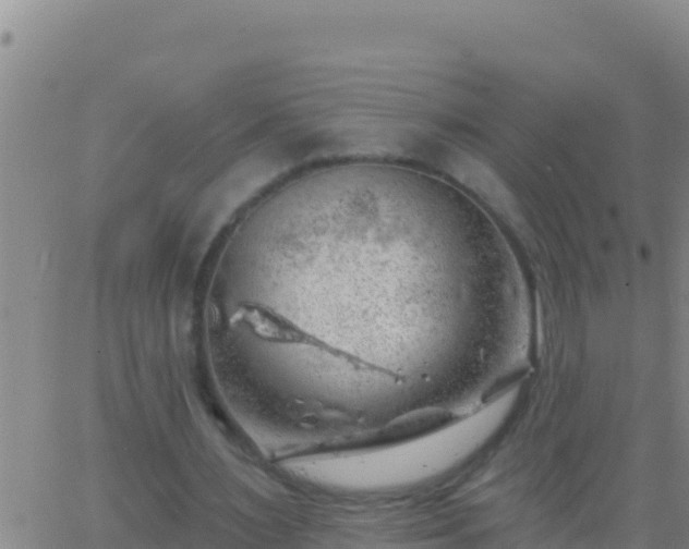 X0000062910483200601201940