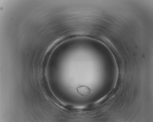 X0000062910484200601201940