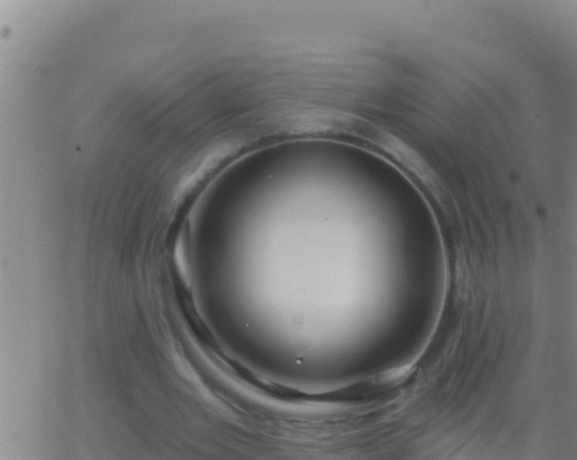 X0000062910485200601201940