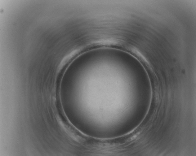 X0000062910486200601201940