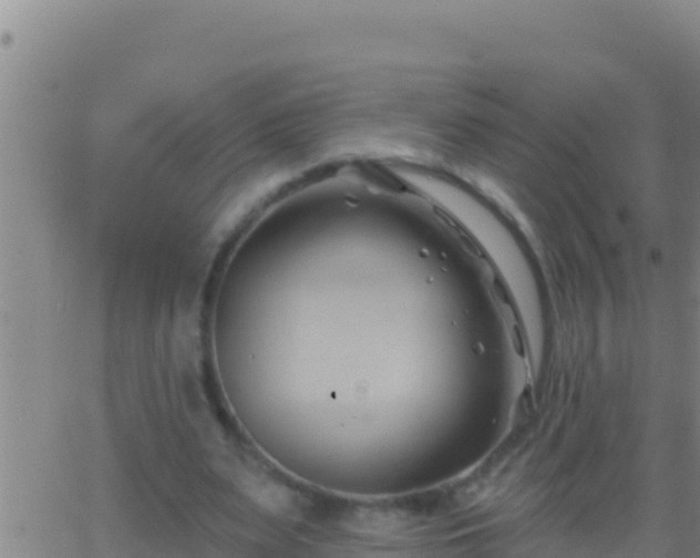 X0000062910487200601201940