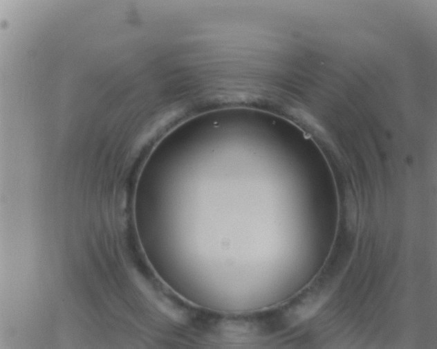 X0000062910490200601201940