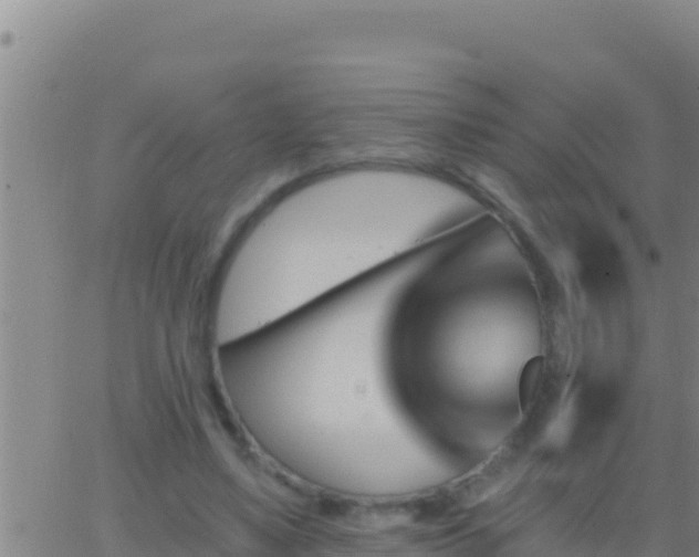 X0000062910491200601201940