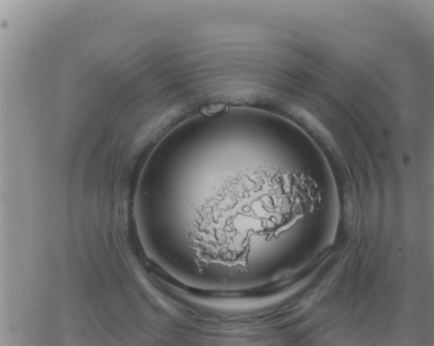 X0000062910493200601201940