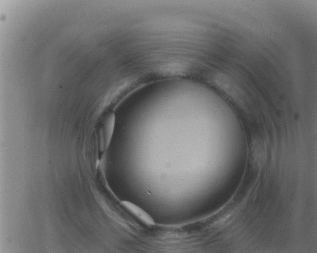 X0000062910494200601201940