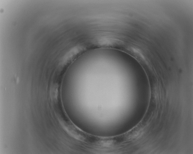 X0000062910495200601201940