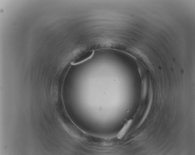 X0000062910496200601201940